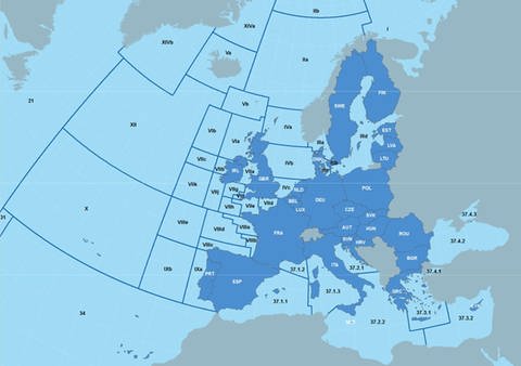 Karte der Subfanggebiete (Foto: EU Kommission / https://ec.europa.eu/oceans-and-fisheries/index_en)
