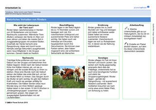 Arbeitsblatt 3a: Natürliches Verhalten von Rindern (Foto: )