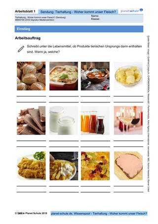 Arbeitsblatt 1: Tierprodukte in Lebensmitteln (Foto: )