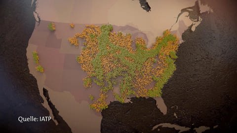 Karte der USA mit den Anbaugebieten von Mais und dessen späterer Verwendung. (Foto: SWR: Screenshot aus der Sendung)