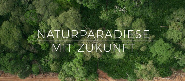 Screenshot aus der Sendereihe "Naturparadiese mit Zukunft" (Foto: WDR, WDR)