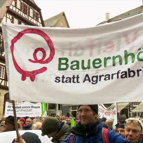Ein Demonstrant hält ein Banner mit der Aufschrift "Bauernhöfe statt Agrarfabriken" in die Höhe. (Foto: SWR – Screenshot aus der Sendung)