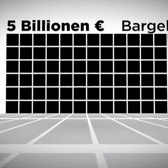 Grafik: 5 Billionen Euro Bargeld (Foto: SWR - Screenshot aus der Sendung)