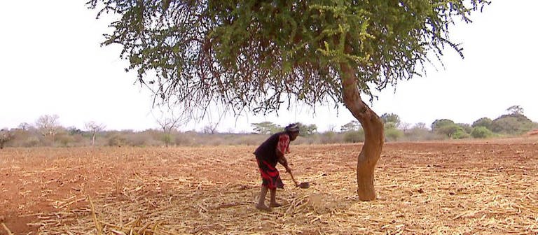 Eine ältere dunkelhäutige Frau steht unter einem Baum inmitten eines trockenen Feldes. (Foto: SWR – Screenshot aus der Sendung)