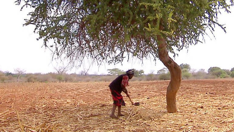 Eine ältere dunkelhäutige Frau steht unter einem Baum inmitten eines trockenen Feldes. (Foto: SWR – Screenshot aus der Sendung)