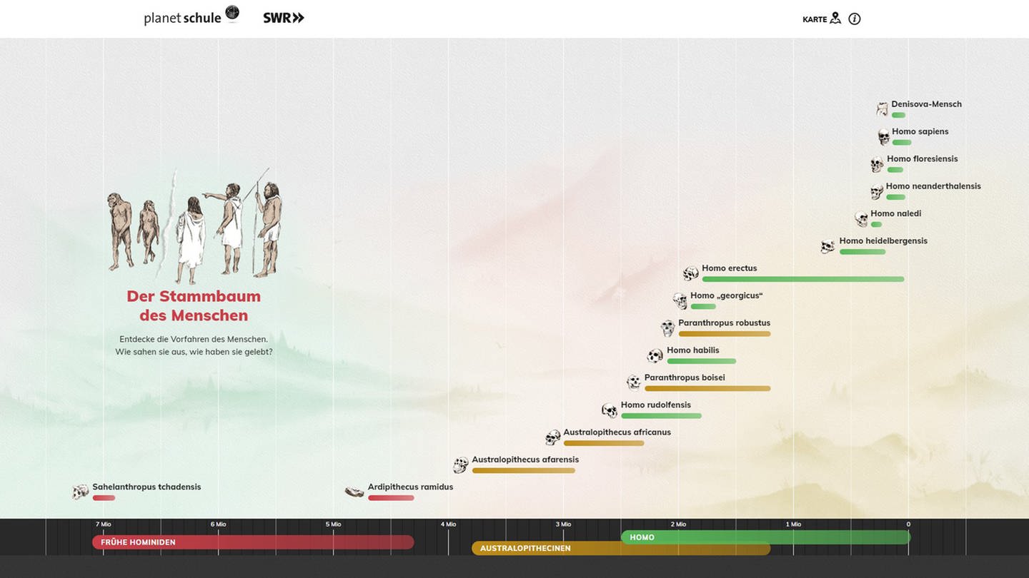 In der interaktiven Anwendung Stammbaum des Menschen können anhand eines Zeitstrahls die Steckbriefe von verschiedenen Urmenschenarten aufgerufen werden. (Foto: Screenshot des Stammbaums)