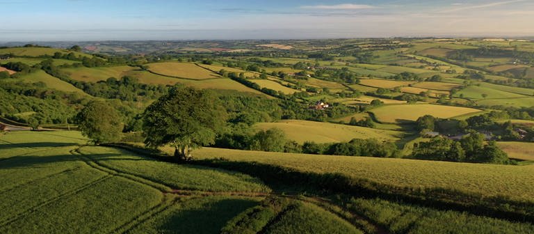 Blick über die Landschaft des Devon im Südwesten von England (Foto: WDR, Längengrad Filmproduktion)