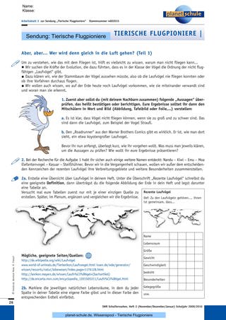 Arbeitsblatt 3: Laufvögel