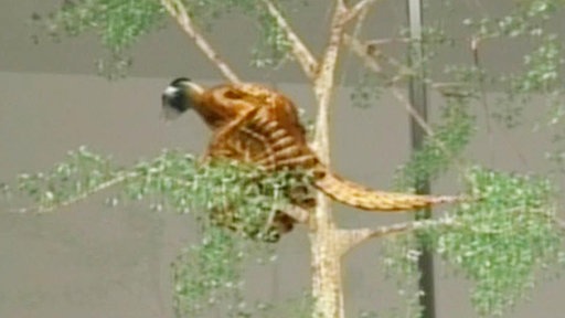 Nachbildung eines Archäopteryx, der auf einem kleinen eingetopften Baum sitzt.