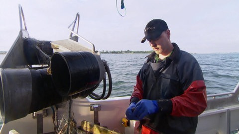 Ein Fischer steht auf seinem Boot und holt Fische aus dem Netz.