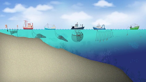 Grafik: Formen der Fischerei.