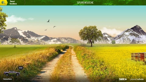 Eine Wiese mit Honigstöcken