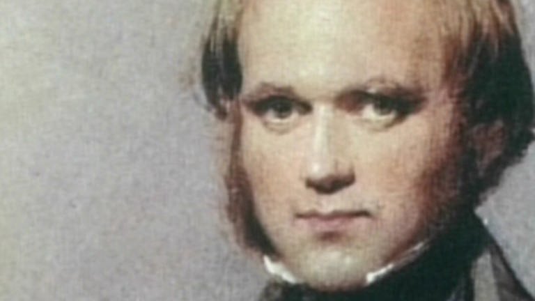 Bild des jungen Charles Darwin (Foto: SWR – Screenshot aus der Sendung)