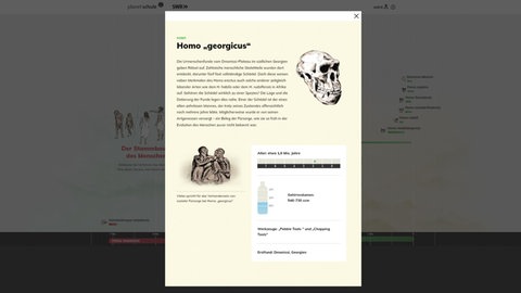 In der interaktiven Anwendung Stammbaum des Menschen lassen sich Steckbriefe zu verschiedenen Urmenschenarten aufrufen. Sie enthalten Informationen zum Alter der Funde, derGröße des Gehirns und den Lebensumständen. Beispielhaft ist der Steckbrief des Homo georgicus zu sehen. (Foto: Screenshot von den Steckbriefen der interaktiven Anwendung)