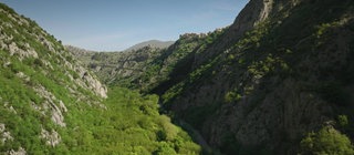 Blick auf ein bewaldetes Tal in den Abruzzen
