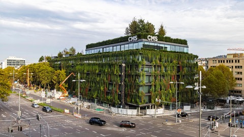 Modernes, grünes Gebäude