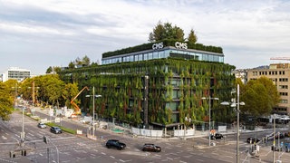 Modernes, grünes Gebäude 