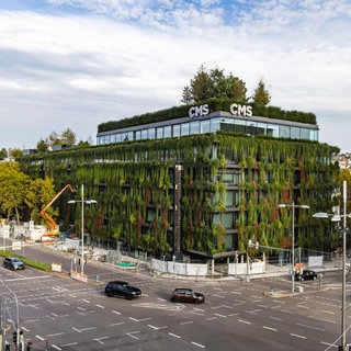 Modernes, grünes Gebäude 