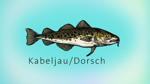 Animation eines Kabeljaus