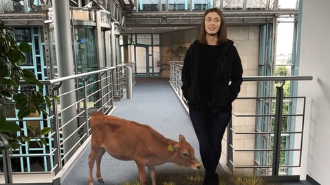 Screenshot aus dem App-Modul 