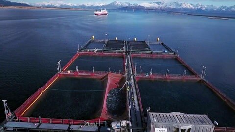 Becken einer Aquakultur-Anlage in Norwegen.