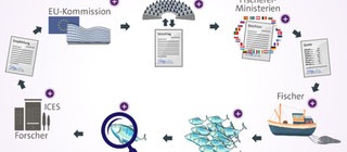 Darstellung eines Gesetzprozesses in der EU