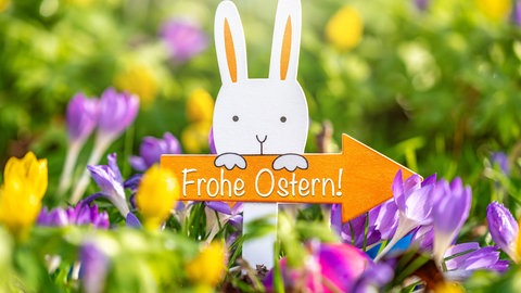 Ein Osterhase in einer Wiese mit einem Schild 