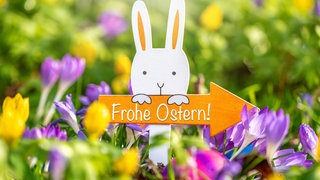 Ein Osterhase in einer Wiese mit einem Schild "Frohe Ostern"