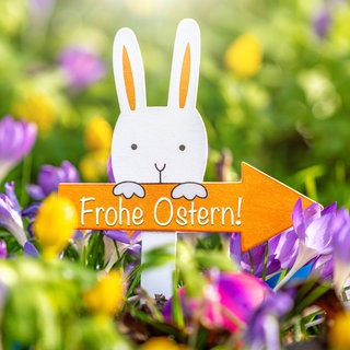 Ein Osterhase in einer Wiese mit einem Schild "Frohe Ostern"