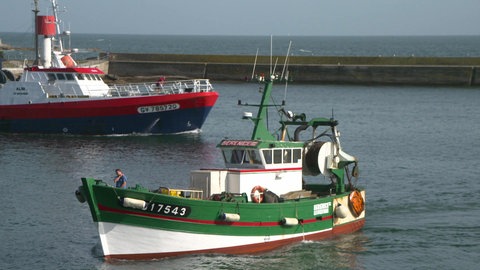 Screenshot aus dem Film 