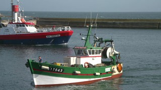 Screenshot aus dem Film "Fischerei und Algenernte"