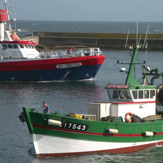 Screenshot aus dem Film "Fischerei und Algenernte"