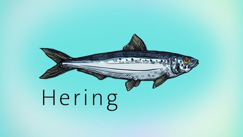 Animation eines Heerings