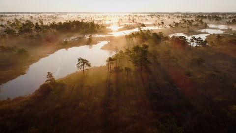 Sonnenaufgang über einem Moor
