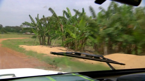 Blick aus einem Autofenster.