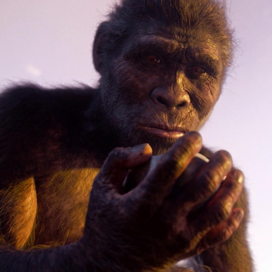 Rekonstruktion von einem Homo habilis mit einem Werkzeug in der Hand.