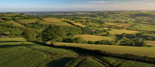 Blick über die Landschaft des Devon im Südwesten von England