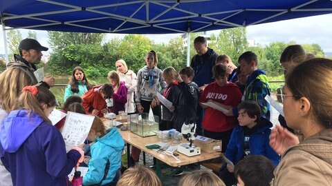 Kinder und Erwachsene um einen Tisch mit Aquarium, Gläsern, Mikroskop und Sieb.