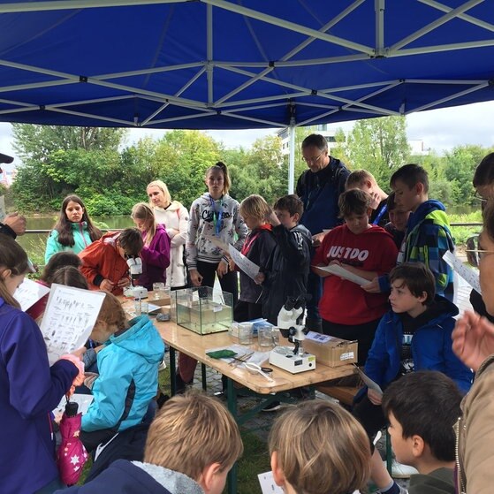 Kinder und Erwachsene um einen Tisch mit Aquarium, Gläsern, Mikroskop und Sieb.