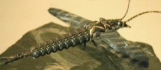 Bannerbild