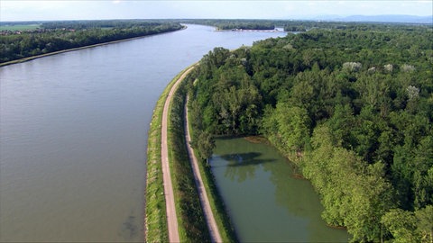 Rheinabschnitt mit befestigtem Uferdamm.