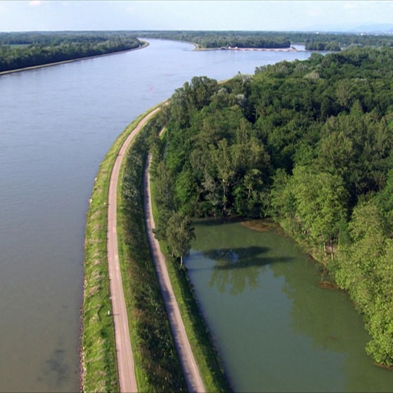 Rheinabschnitt mit befestigtem Uferdamm.