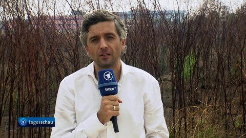 Matthias Ebert mit Mikrofon vor einer Hecke.
