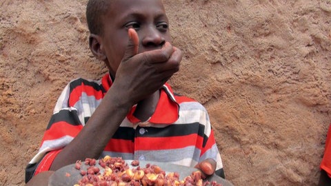 Ein Junge ist Beeren von einem Teller.