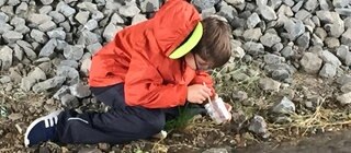 Junge in roter Jacke schaut mit Becherlupe in einen Bach.