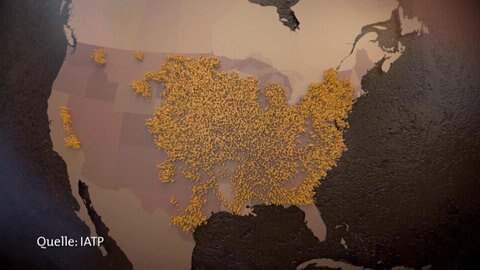 Karte der USA mit den aktuellen Maisanbaugebieten.