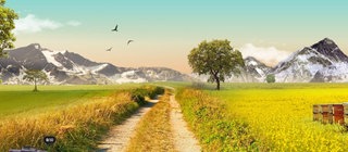 Eine Wiese mit Honigstöcken