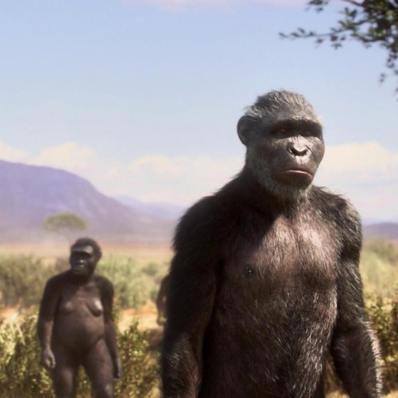 Rekonstruktion des Frühmenschen Lucy.