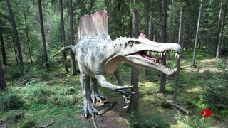 Screeshot aus dem Film "Dinosaurier-Wissen in Gebärdensprache"