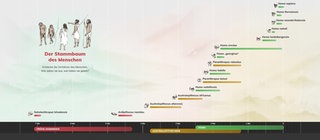 In der interaktiven Anwendung Stammbaum des Menschen können anhand eines Zeitstrahls die Steckbriefe von verschiedenen Urmenschenarten aufgerufen werden. 